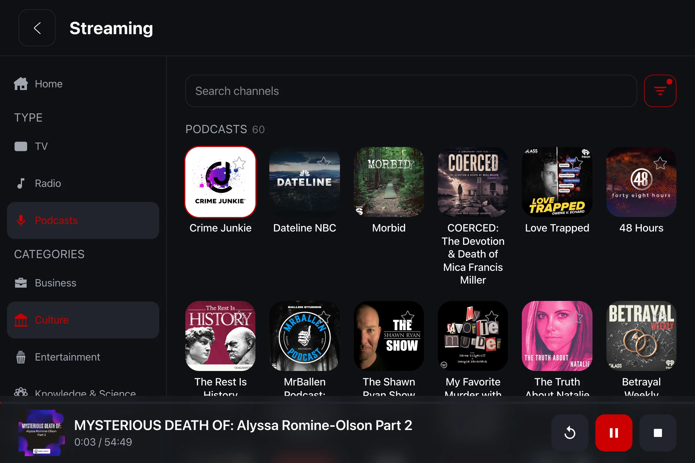 iCar's Streaming hub on a Tesla screen: the category sidebar, a grid of music channels, and the player running along the bottom
